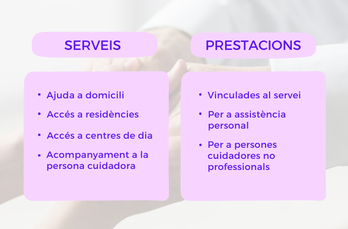 Serveis i prestacions llei de la dependencia